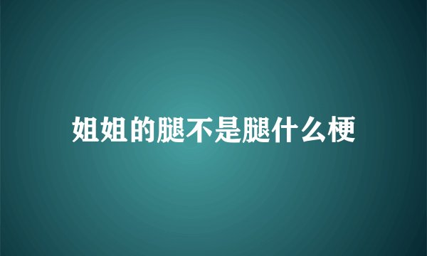 姐姐的腿不是腿什么梗