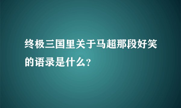 终极三国里关于马超那段好笑的语录是什么？