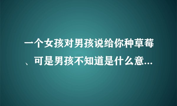 一个女孩对男孩说给你种草莓、可是男孩不知道是什么意思咋办？？？