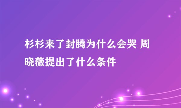 杉杉来了封腾为什么会哭 周晓薇提出了什么条件