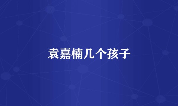 袁嘉楠几个孩子