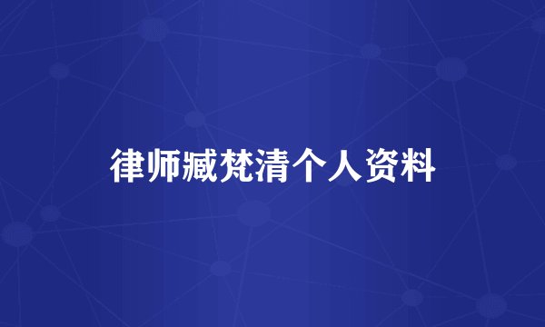 律师臧梵清个人资料