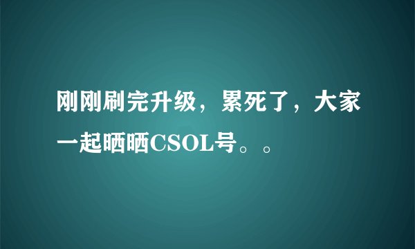 刚刚刷完升级，累死了，大家一起晒晒CSOL号。。