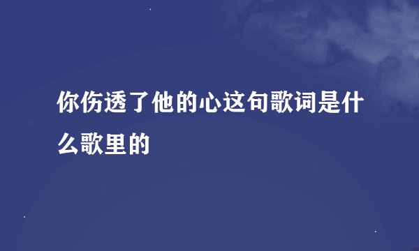 你伤透了他的心这句歌词是什么歌里的