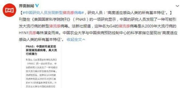 我国研究人员发现新型猪流感病毒，具有大流行病潜力