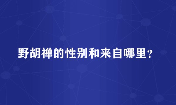 野胡禅的性别和来自哪里？