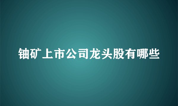铀矿上市公司龙头股有哪些