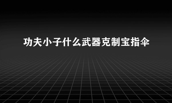功夫小子什么武器克制宝指伞