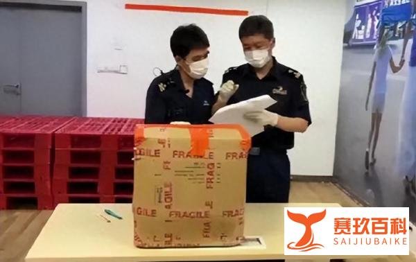 上海机场海关截获1.3万余只德州芭切叶蚁，上颚很锋利，存在风险