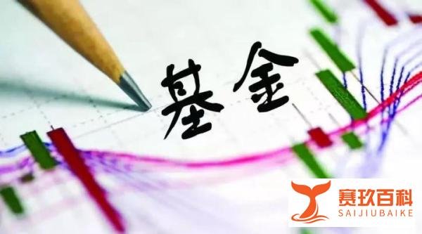 蚂蚁战略配售基金能不能买,有什么注意事项?