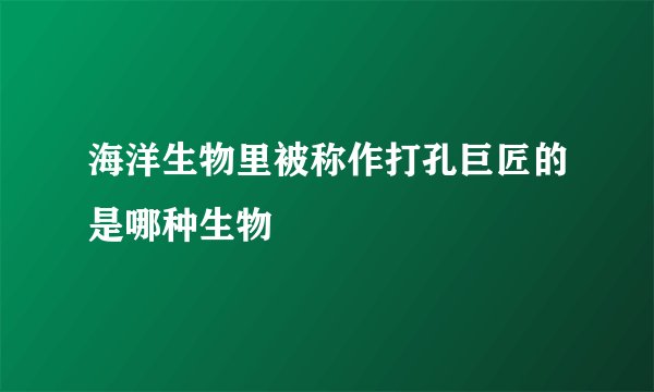 海洋生物里被称作打孔巨匠的是哪种生物