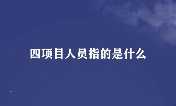 四项目人员指的是什么