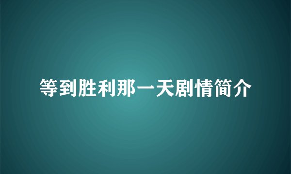 等到胜利那一天剧情简介