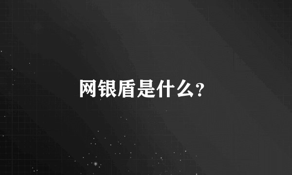 网银盾是什么？