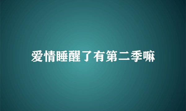 爱情睡醒了有第二季嘛