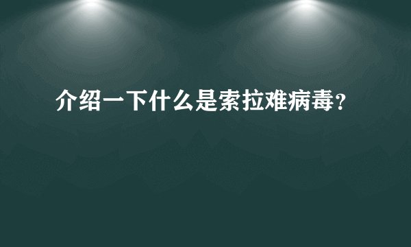 介绍一下什么是索拉难病毒?