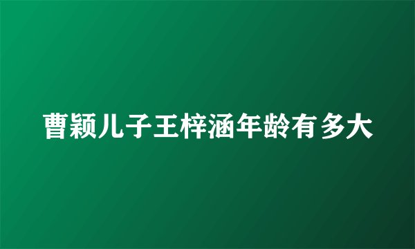 曹颖儿子王梓涵年龄有多大