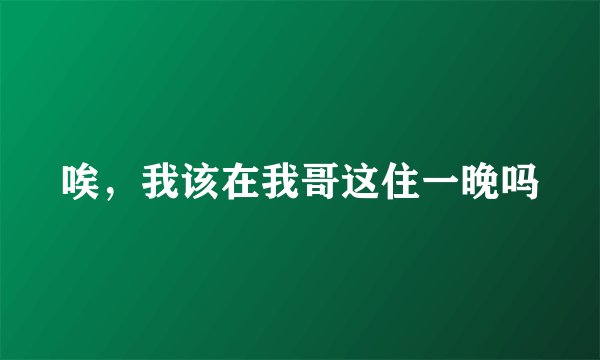 唉，我该在我哥这住一晚吗