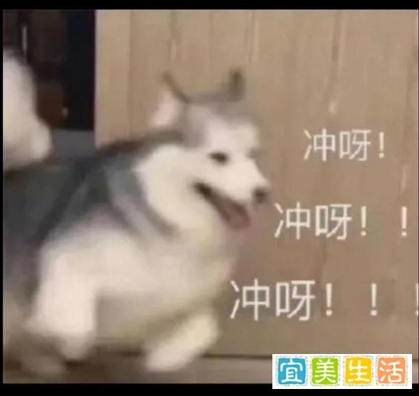 4.18 早盘申购分析，主板望变电气发行～