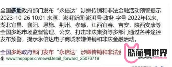 钱能回来吗？神盘永倍达将何去何从。