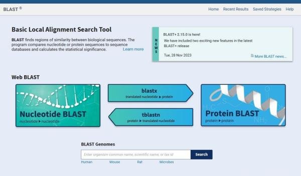 NCBI BLAST使用教程及BLASTP比对结果分析