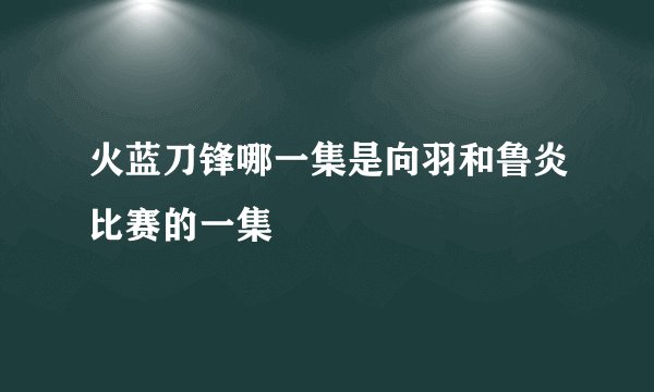 火蓝刀锋哪一集是向羽和鲁炎比赛的一集