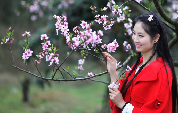 桃花西施的介绍