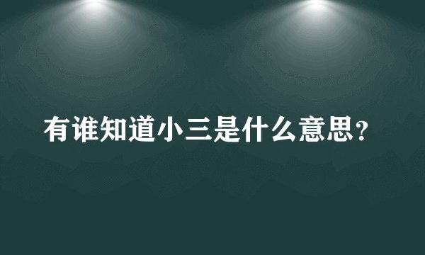 有谁知道小三是什么意思？