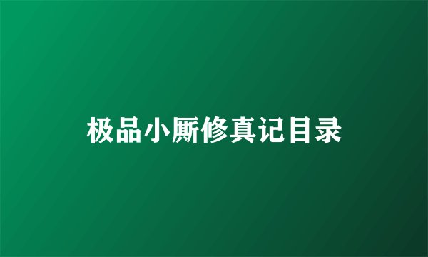 极品小厮修真记目录