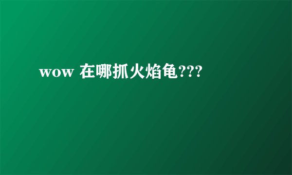 wow 在哪抓火焰龟???