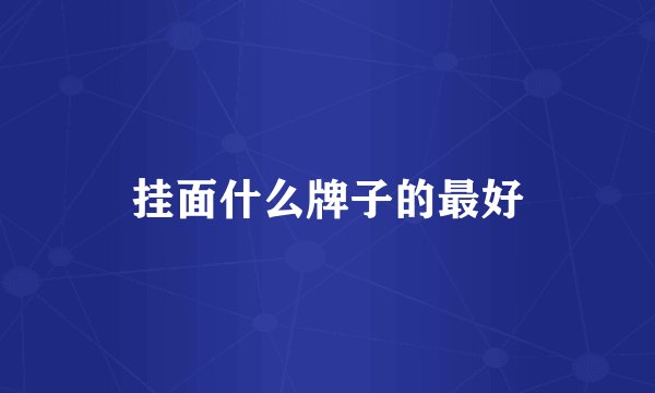 挂面什么牌子的最好