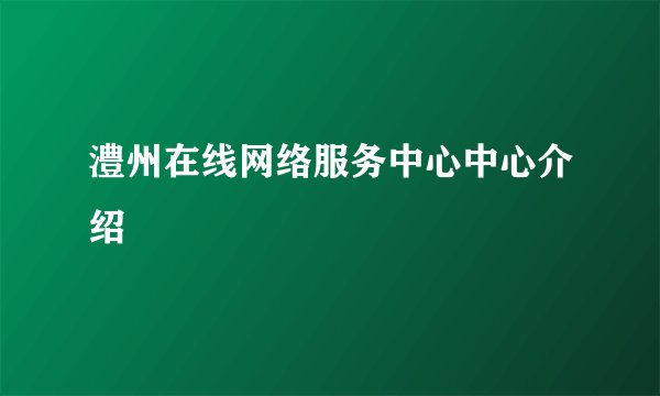 澧州在线网络服务中心中心介绍