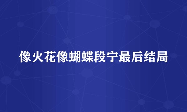 像火花像蝴蝶段宁最后结局