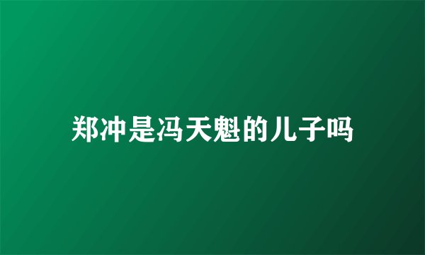 郑冲是冯天魁的儿子吗