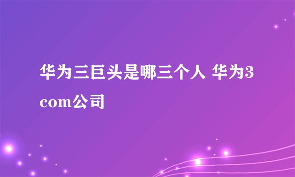华为三巨头是哪三个人 华为3com公司