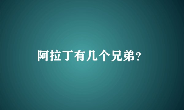 阿拉丁有几个兄弟？