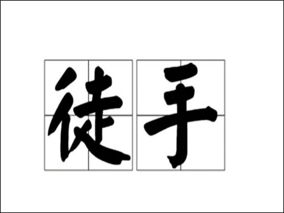 徒手是什么意思