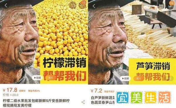 如何评价网售滞销水果套路 拿别人的怜悯去做欺骗的勾当