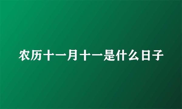 农历十一月十一是什么日子