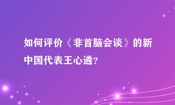 如何评价《非首脑会谈》的新中国代表王心遴？