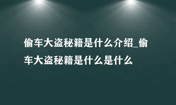 偷车大盗秘籍是什么介绍_偷车大盗秘籍是什么是什么