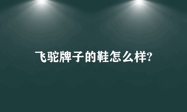 飞驼牌子的鞋怎么样?