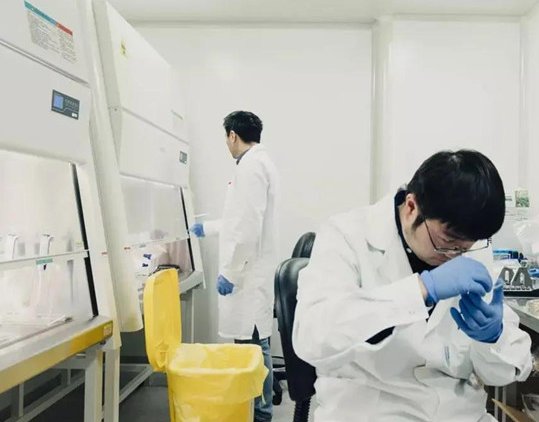 南方科技大学一实验室起火博士后头顶火苗冲出,这究竟是在做什么实验?