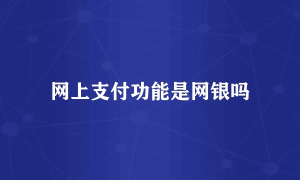 网上支付功能是网银吗