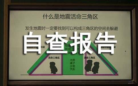 慵懒散自查报告