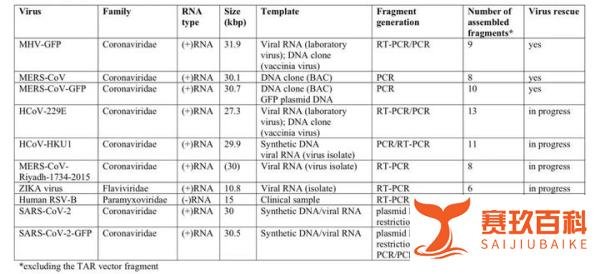 【BioRxiv】新冠病毒的人工合成：仅凭基因片段便能复活完整病毒，还带绿色荧光！