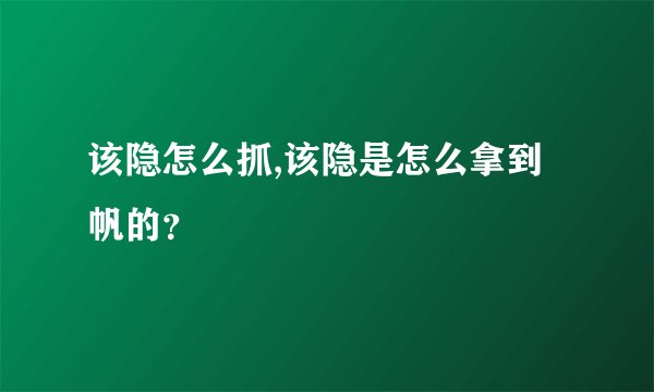 该隐怎么抓,该隐是怎么拿到帆的？