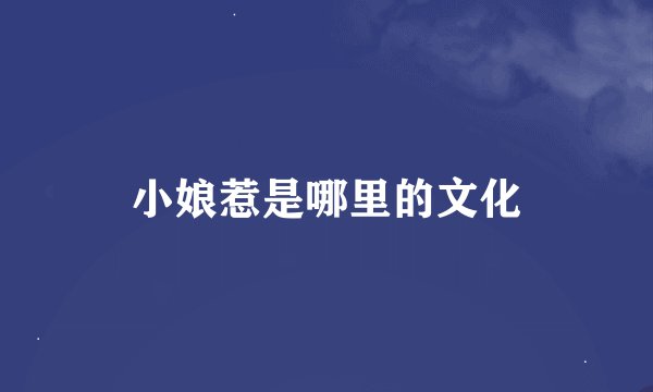 小娘惹是哪里的文化