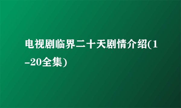 电视剧临界二十天剧情介绍(1-20全集)