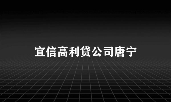宜信高利贷公司唐宁